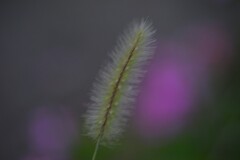 私の主張　④。。。！