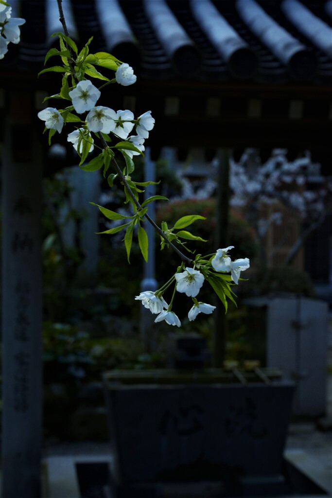 心を清める。。。！