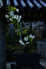 心を清める。。。！