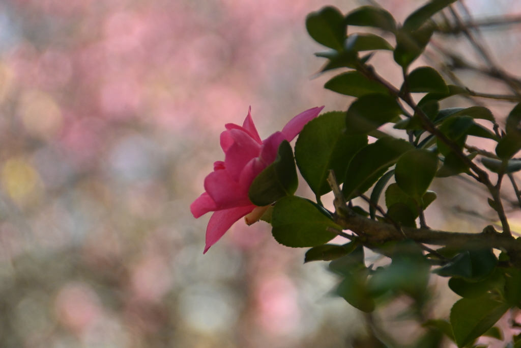 優しさの出逢い　。。。！