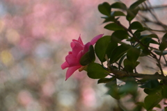 優しさの出逢い　。。。！