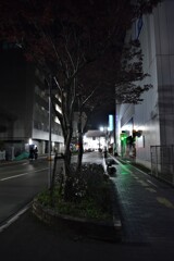 ありふれた風景　①。。。！