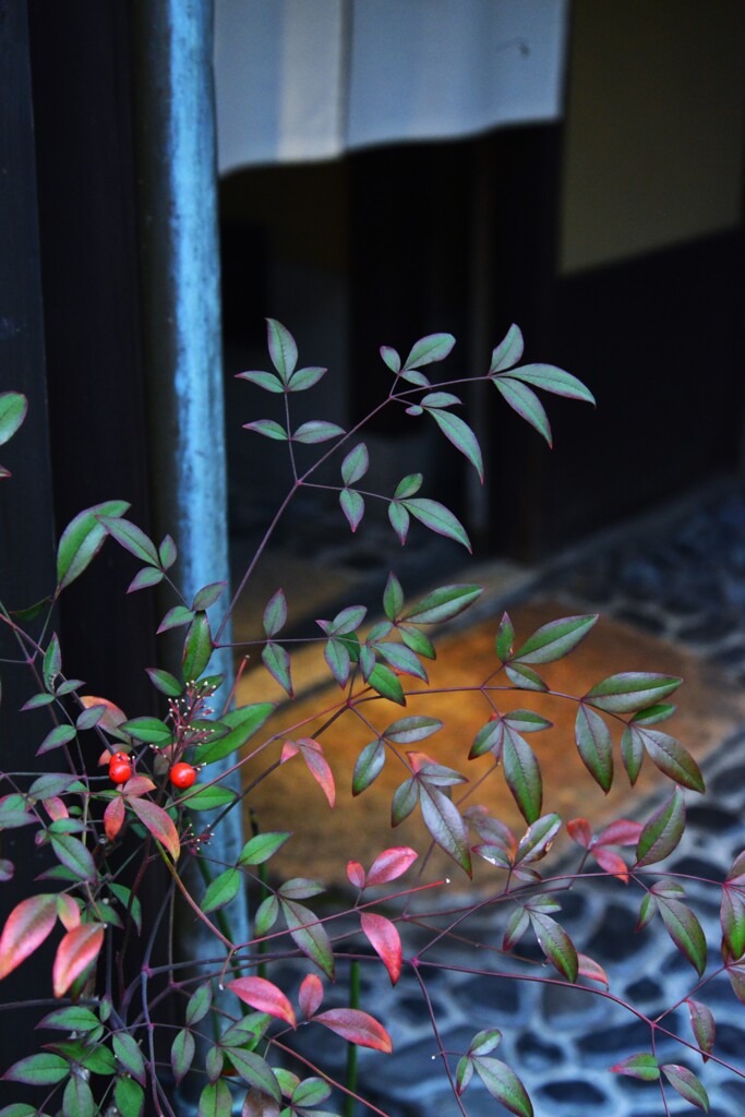 京都の香り　⑤。。。！