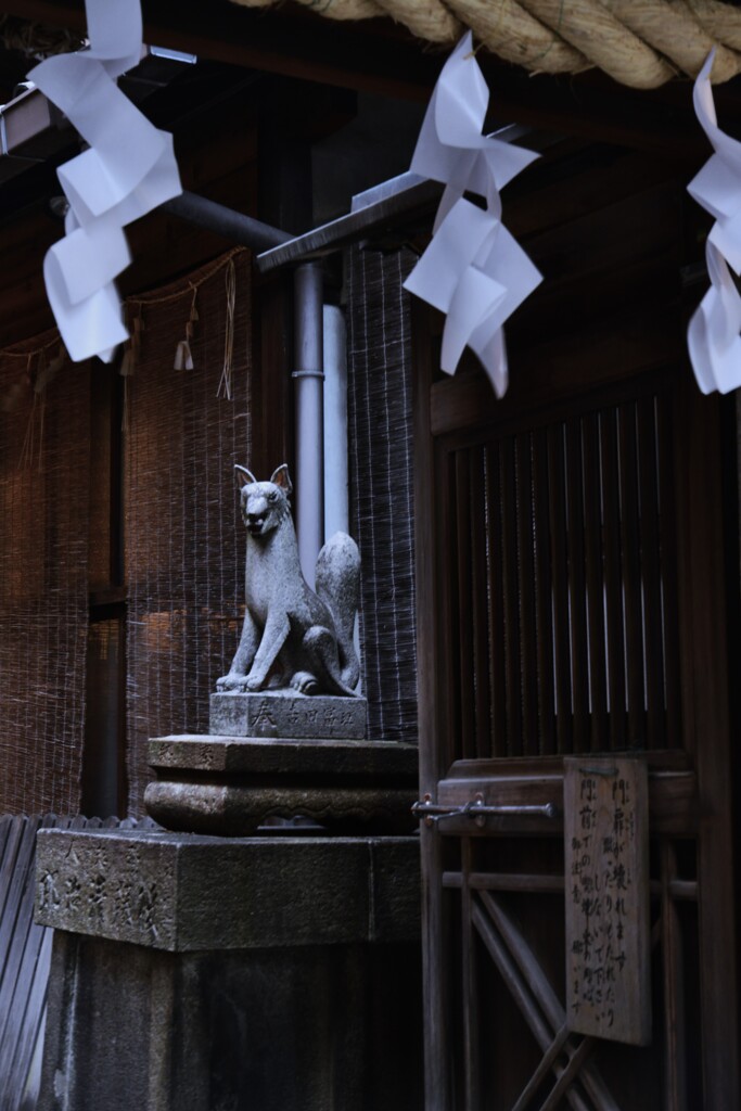 神秘世界に迷い込む　➂。。。！