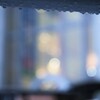 GWの悲劇　⑥。。。！