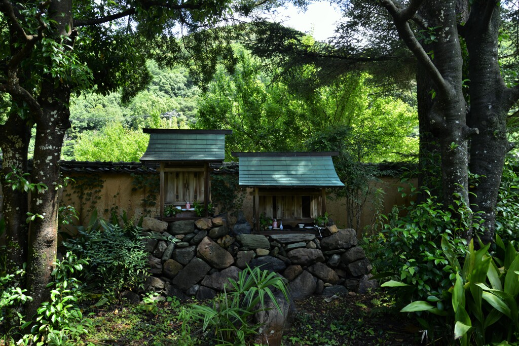 山郷古民家の庭　③。。。！
