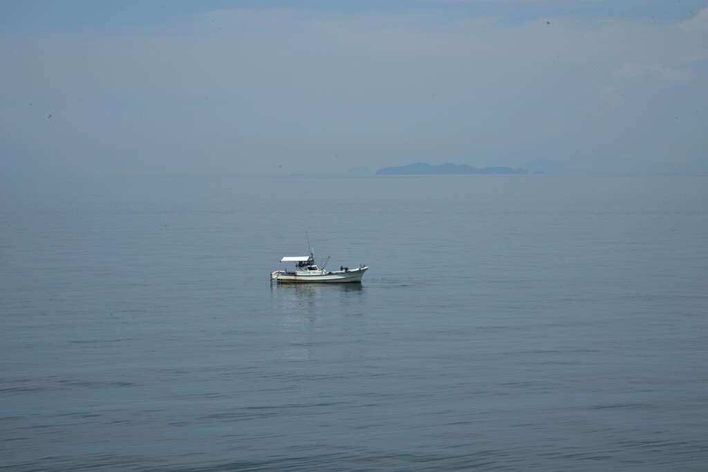 夏の海に漂う　②。。。！