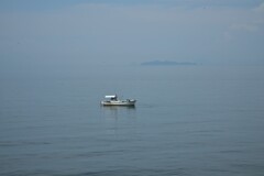 夏の海に漂う　②。。。！