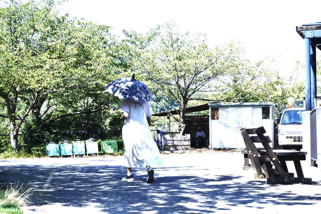 熱い風の公園　⑤。。。！
