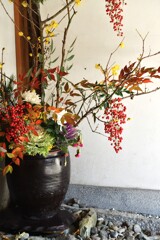 大洲の早春賦　➂。。。！