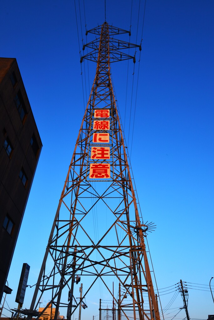 夕陽に立ち向かう。。。！
