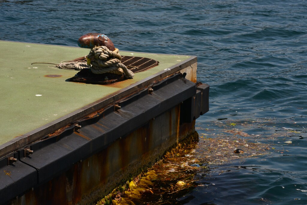 瀬戸の島巡り　➁。。。！