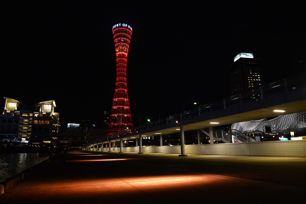 夜のメリケンパーク　②。。。！