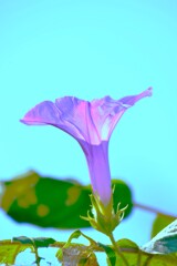 夢みる想い　➂。。。！
