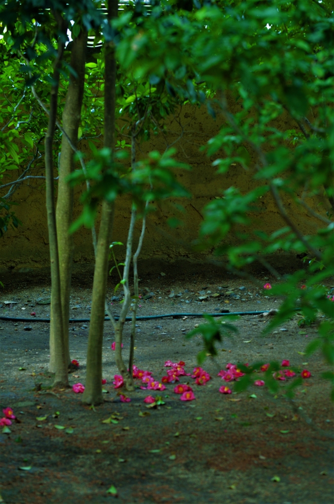 残酷な天使のテーゼ。。。！