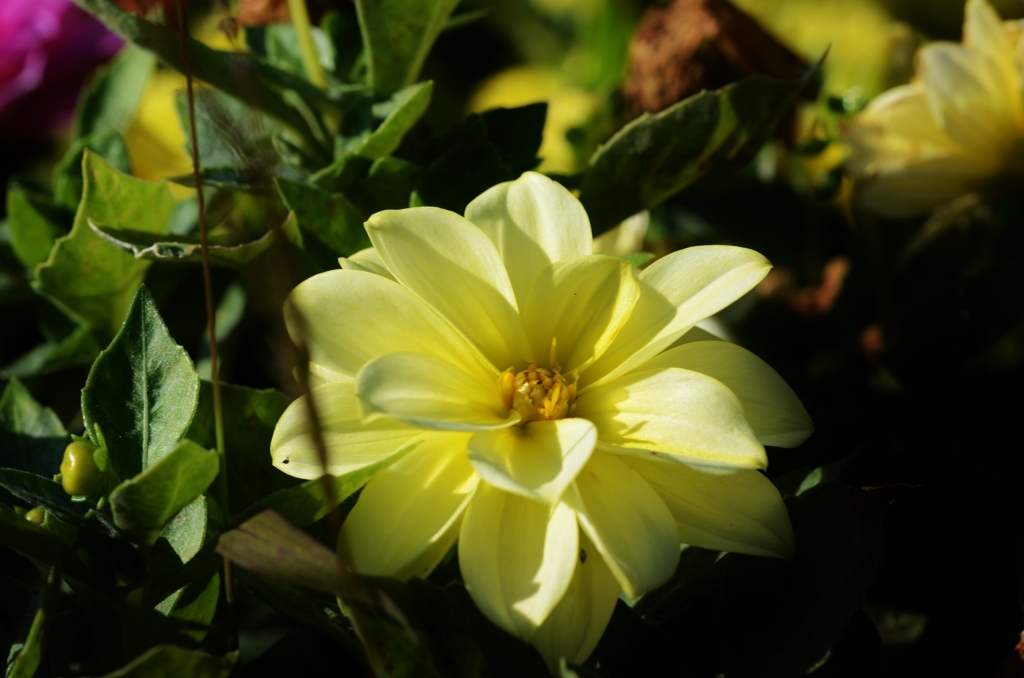 寝化粧を。。。！