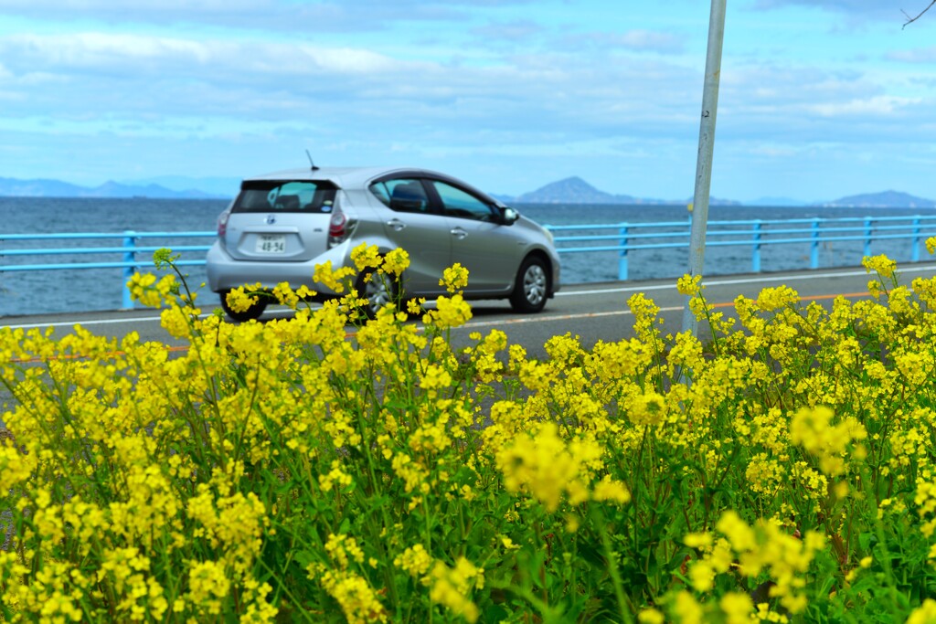 春ロードを走る　①。。。！