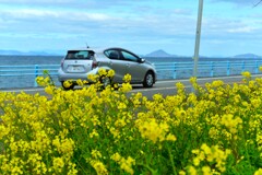 春ロードを走る　①。。。！