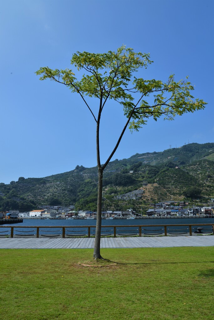 海辺の公園　①。。。！