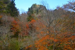 高原の深秋　②。。。！