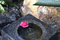 潤いのひとしずく　。。。！