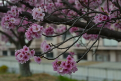 季節の中で　②。。。！
