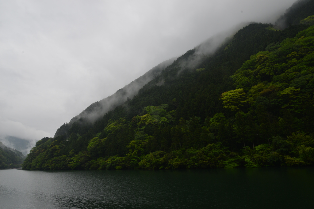 深山の雨上がり　①。。。！