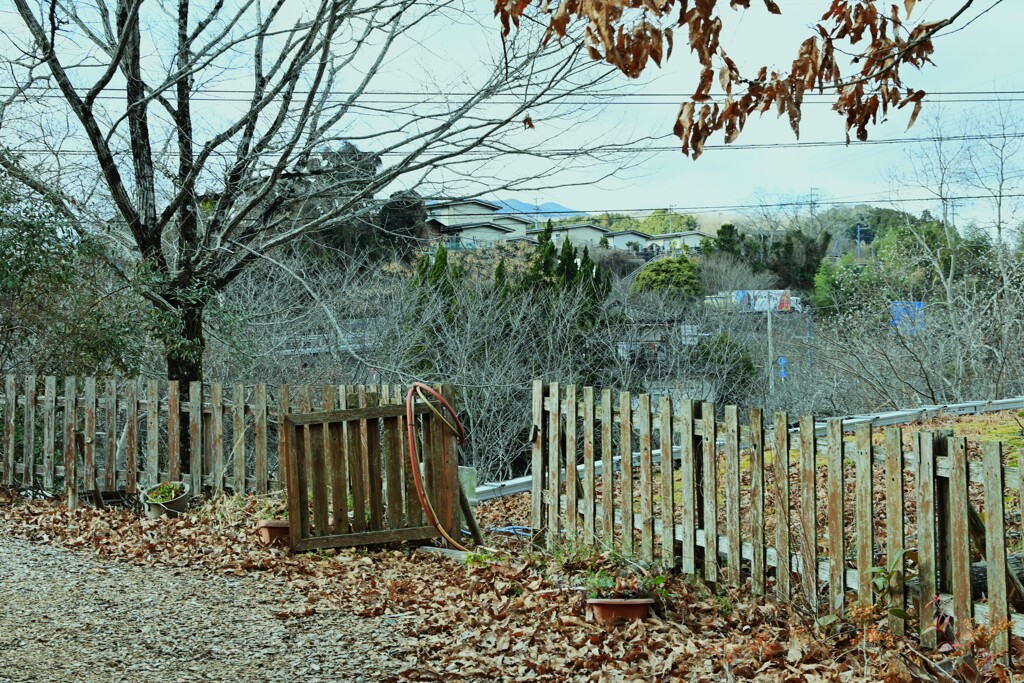 淋しい冬日　➂。。。！