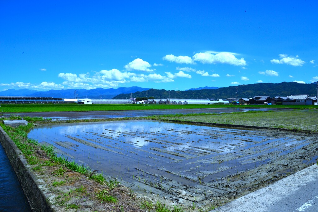 ああ．．故郷の空　①。。。！