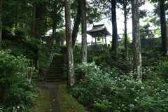 五月雨の山寺　④。。。！