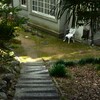 晩翠荘にて　➁。。。！
