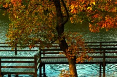 湖畔の秋止符　④。。。！