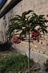 この片隅で➁。。。！