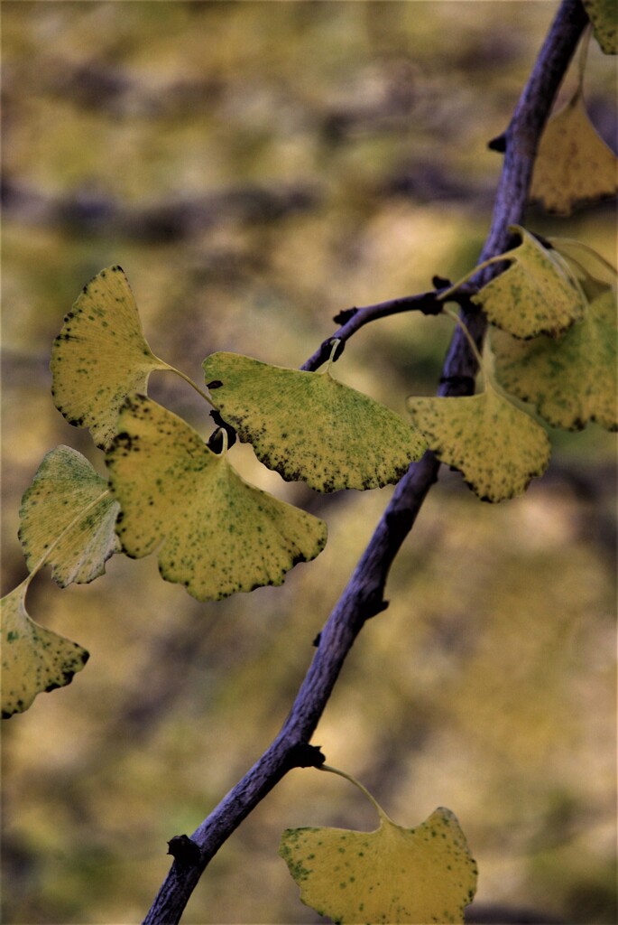 残された時間。。。！