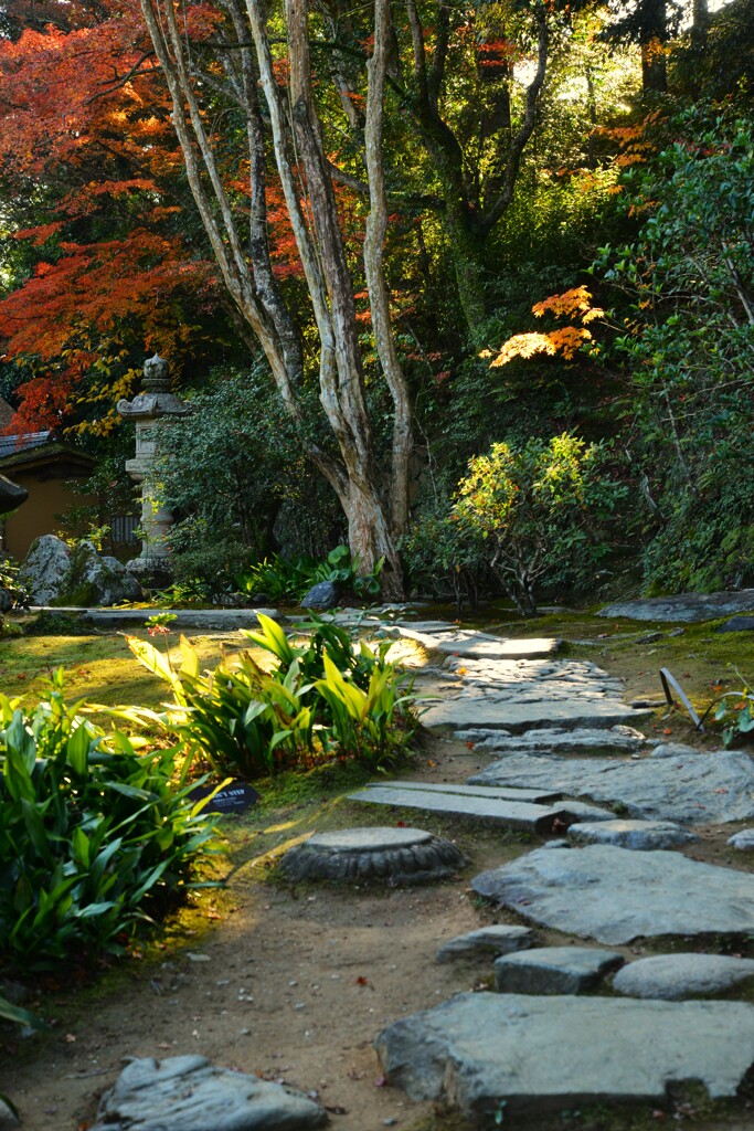 大洲臥龍山荘の秋　➂。。。！