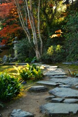 大洲臥龍山荘の秋　➂。。。！