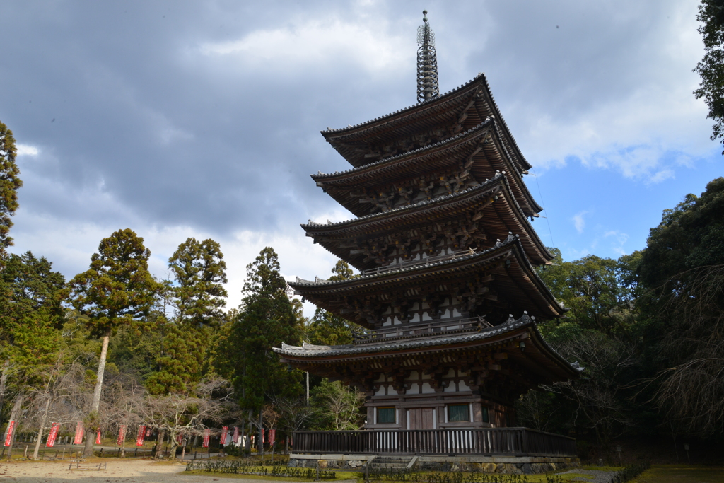 醍醐の五重塔。。。！
