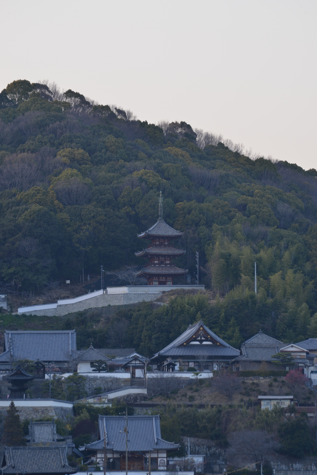 尾道．．西國寺。。。！ by 瀬戸のKAZE （ID：12368591） 写真共有サイトPHOTOHITO