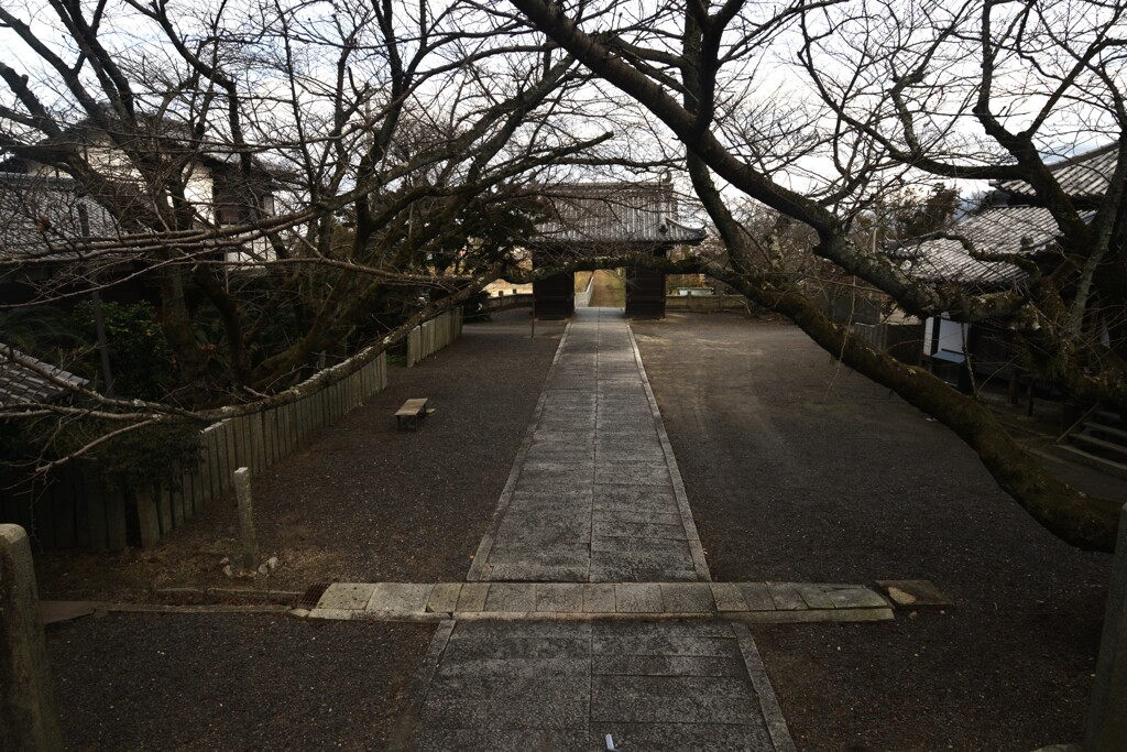 古刹①　久妙寺　①。。。！