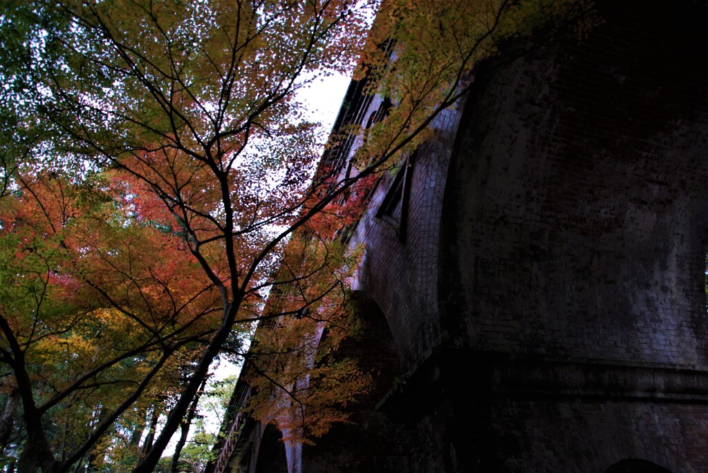 錦絵の古都【南禅寺編】　①