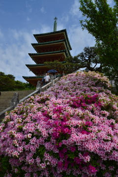 美彩色な寺　①。。。！