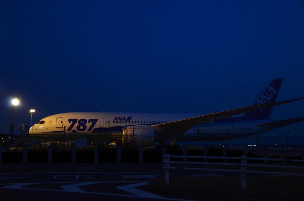 翼を休めて。。。！