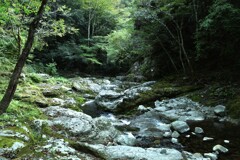 秋の渓谷美　①。。。！