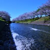 川辺に春を追う。。。！