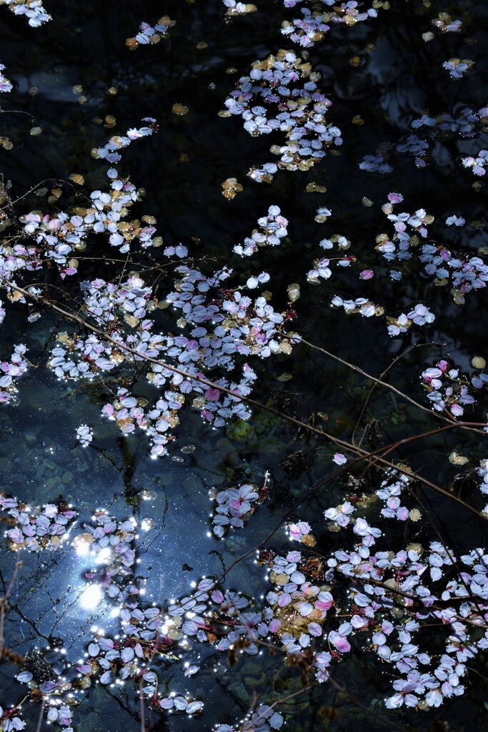 いろはにほへとちりぬるを。。。！