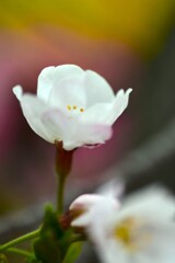 小さな公園　➂。。。！