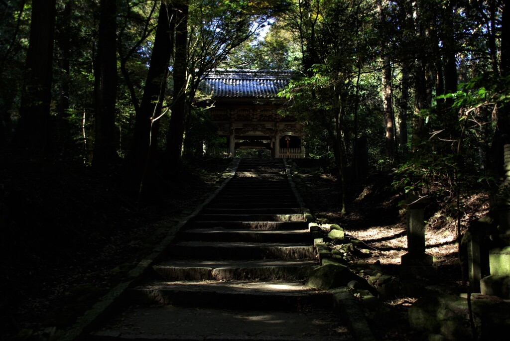 山中で時を刻む。。。！