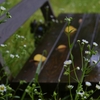 梅雨の似合う場所　②。。。！