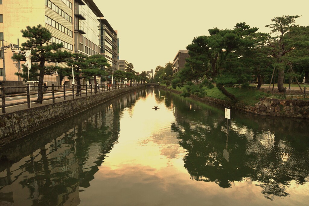 金色のお堀と高知城　①。。。！
