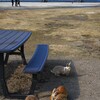 大久野島．．平和の使者　④。。。！